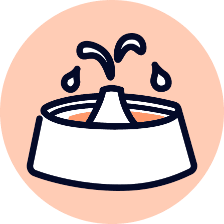Food & Water Bowls