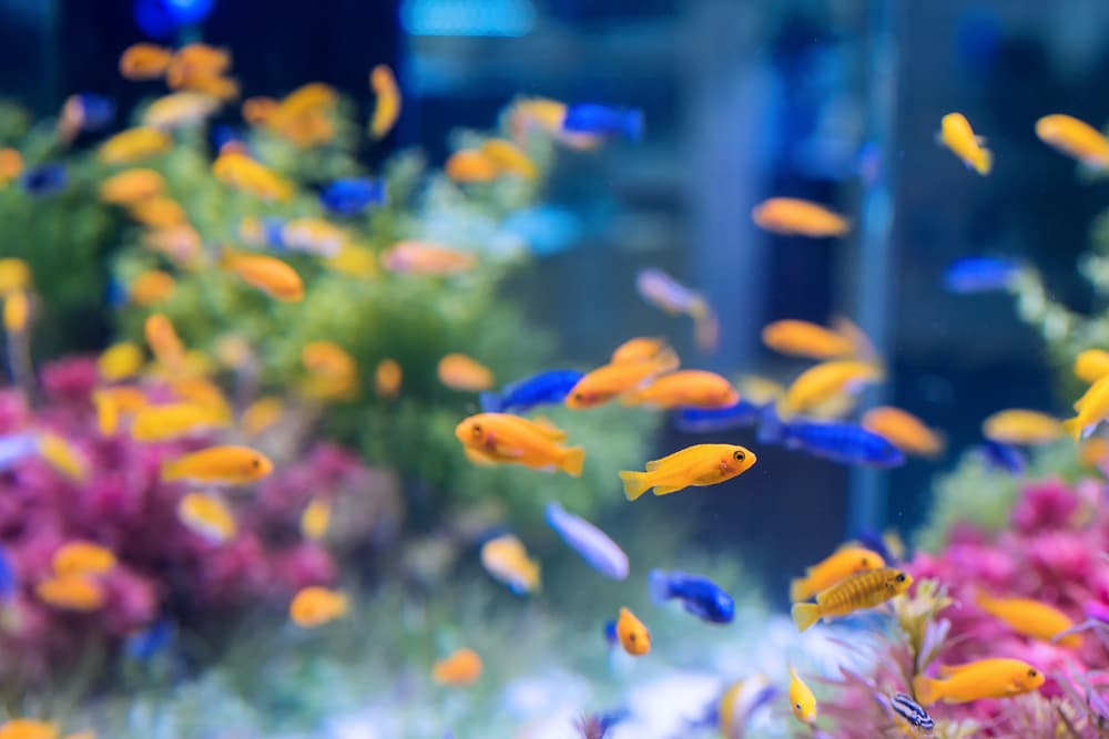 Blog Article Featured Image