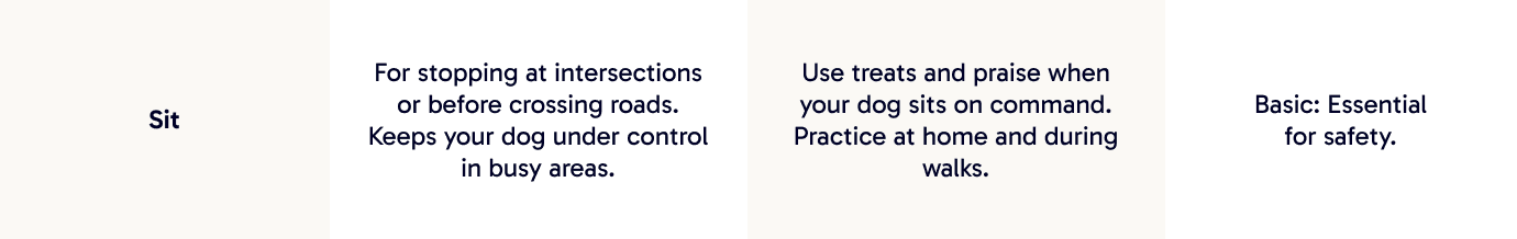 Sit | For stopping at intersections or before crossing roads. Keeps your dog under control in busy areas.