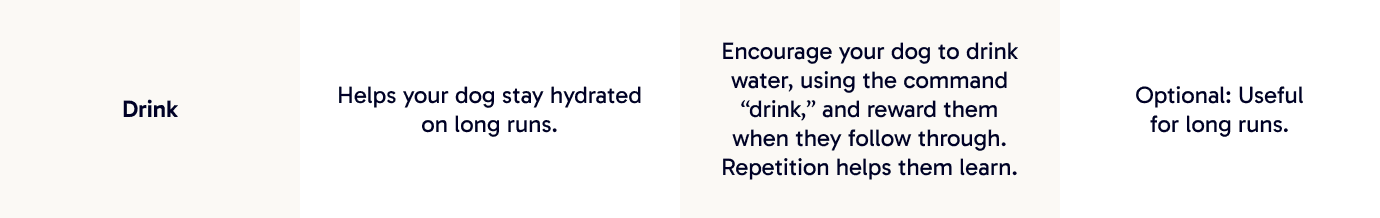 Drink | Helps your dog stay hydrated on long runs.