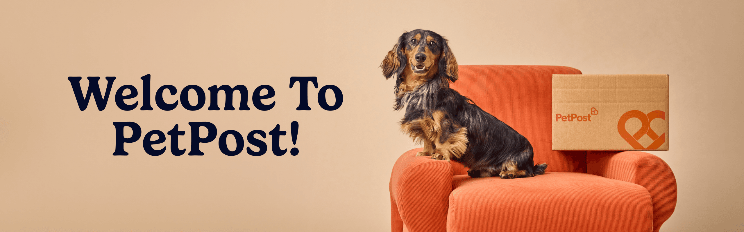 Welcome To PetPost