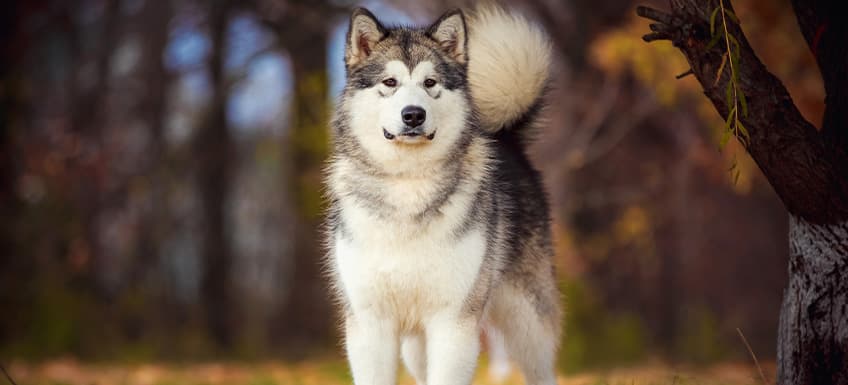 Blog Article Featured Image