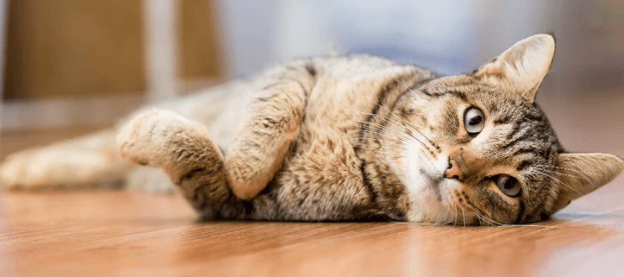 Blog Article Featured Image