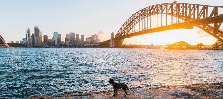 Blog Article Featured Image