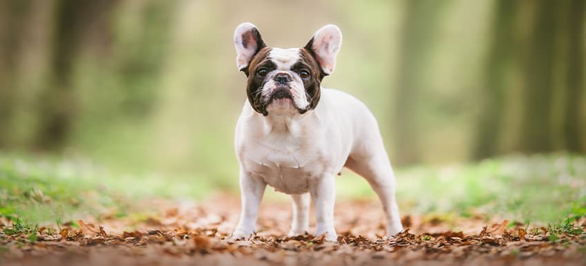 Blog Article Featured Image