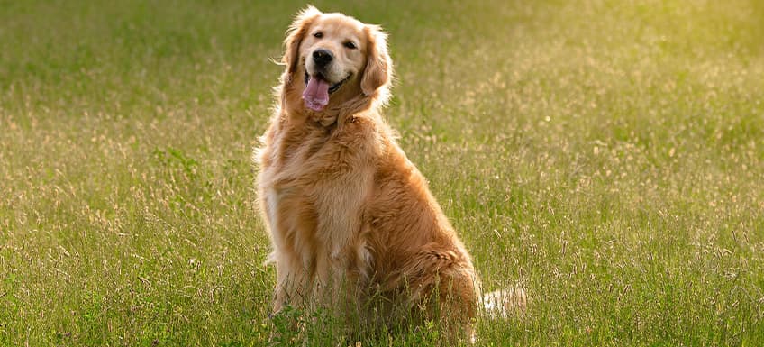 Blog Article Featured Image