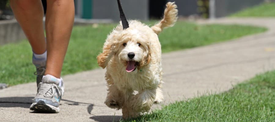 Blog Article Featured Image