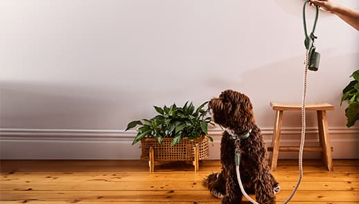 Blog Article Featured Image