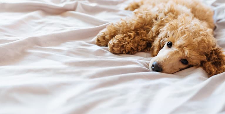 Blog Article Featured Image