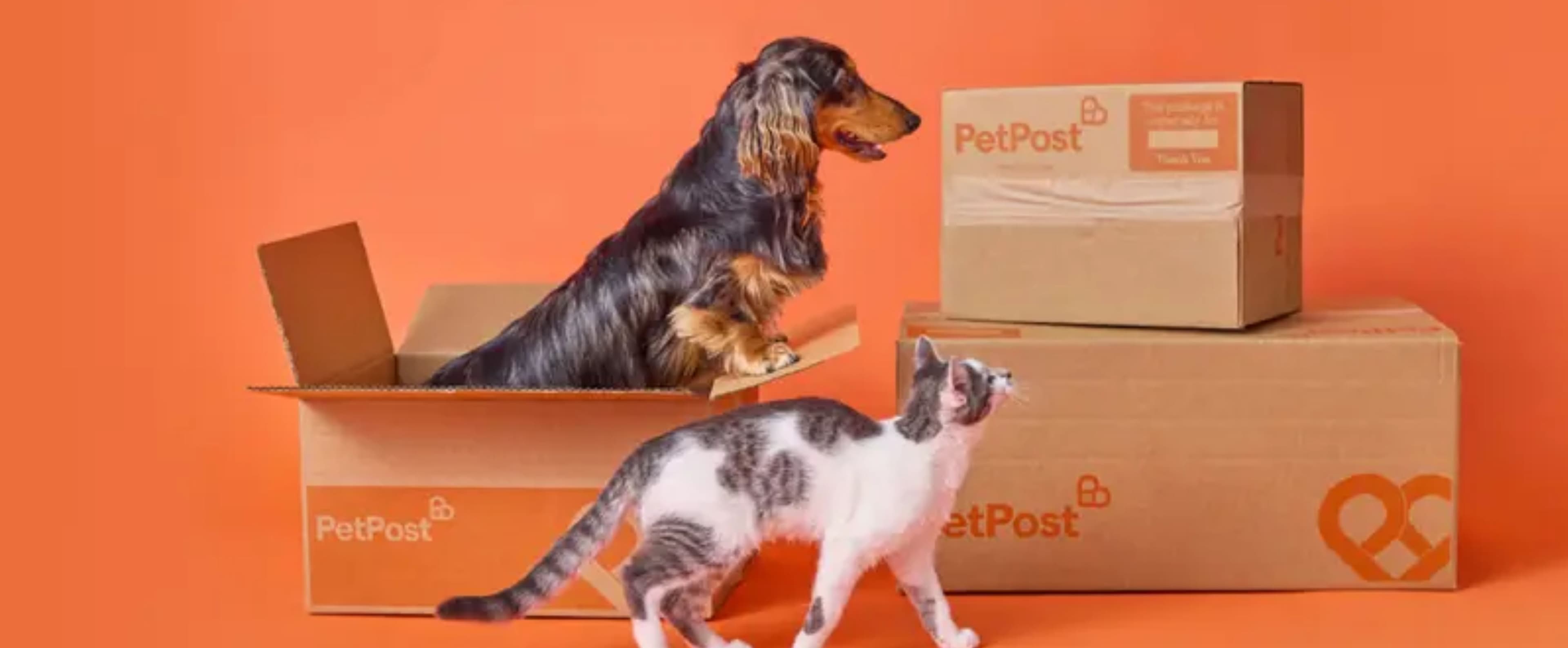 Blog Article Featured Image