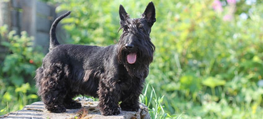 Blog Article Featured Image