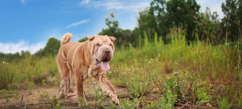 Blog Article Featured Image