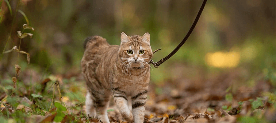 Blog Article Featured Image