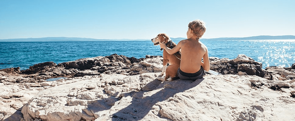 Blog Article Featured Image