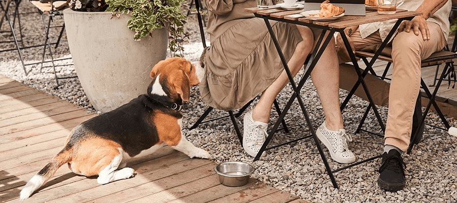 Blog Article Featured Image