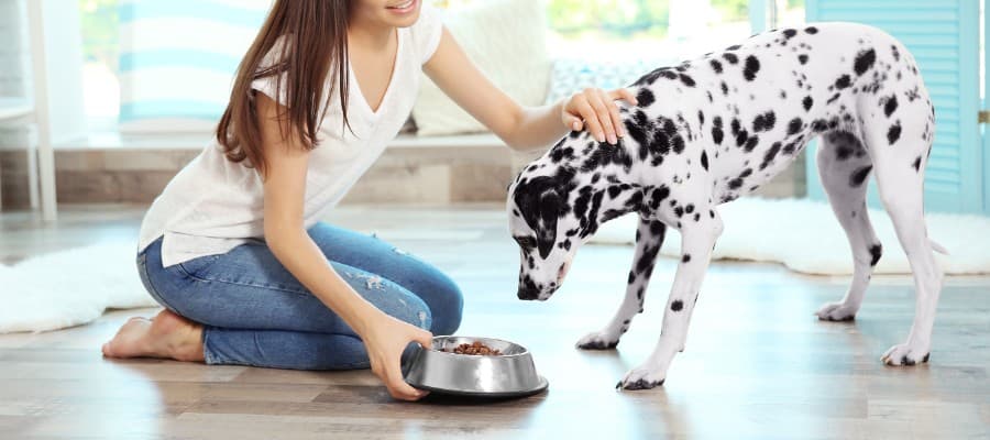 Blog Article Featured Image